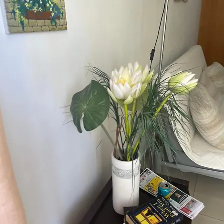 Vip On Makenzie Larnaca